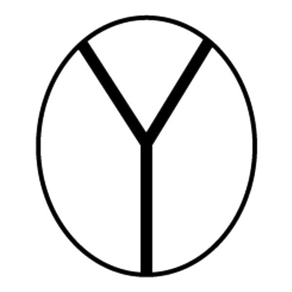 Y
